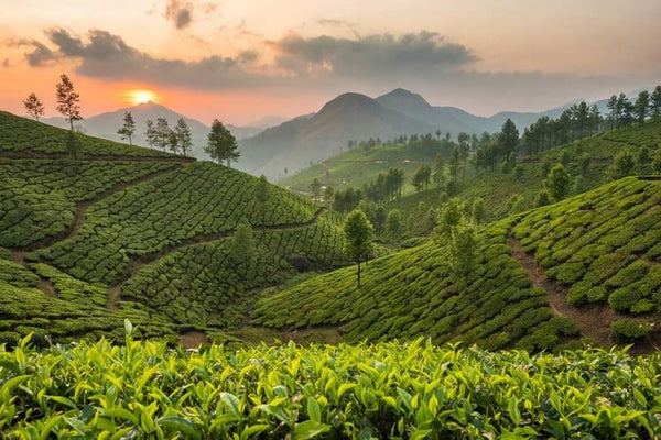 Kerala tradition