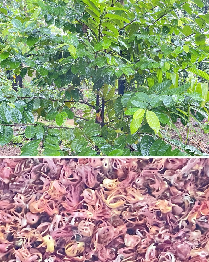 Naturish process at Kolazhy farm
